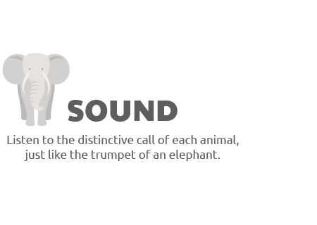 Sound of animals Play Shifu Safari