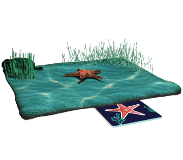 Habitat of animals Play Shifu Safari gif