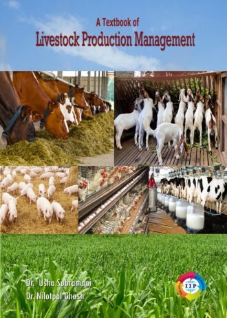 IIP616 FRONT COVER