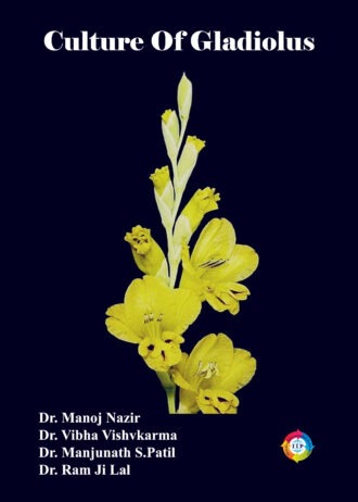 IIP65 FRONT COVER