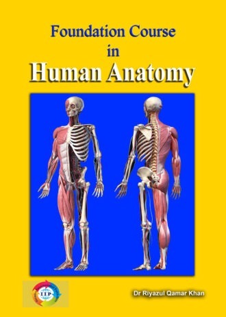 IIP244 FRONT COVER