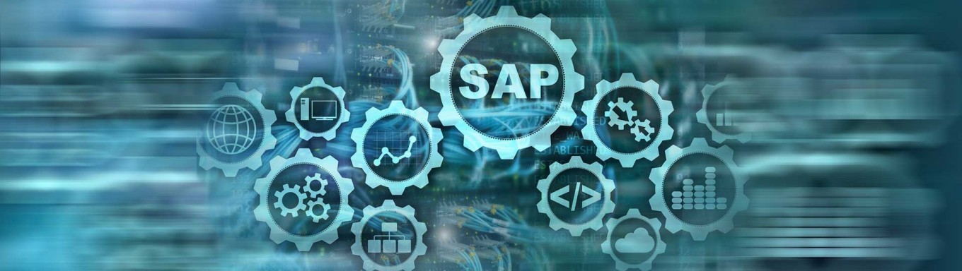 Navigating India-Specific Business Scenarios: IVL's Expertise in SAP Consulting