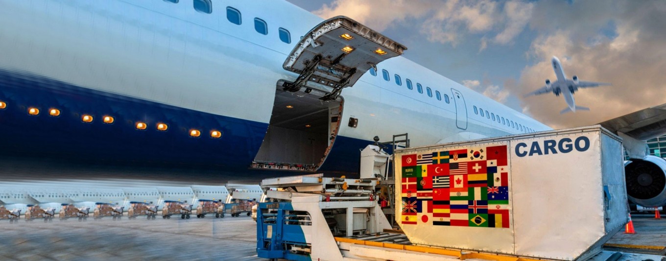Streamlining Your Export and Import Business: A Comprehensive Guide to OptiExim