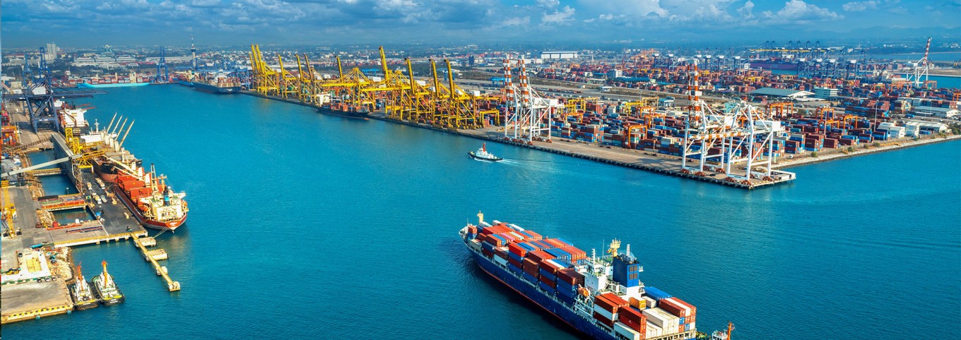 The Future of Foreign Trade Management: Trends and Innovations with OptiExim