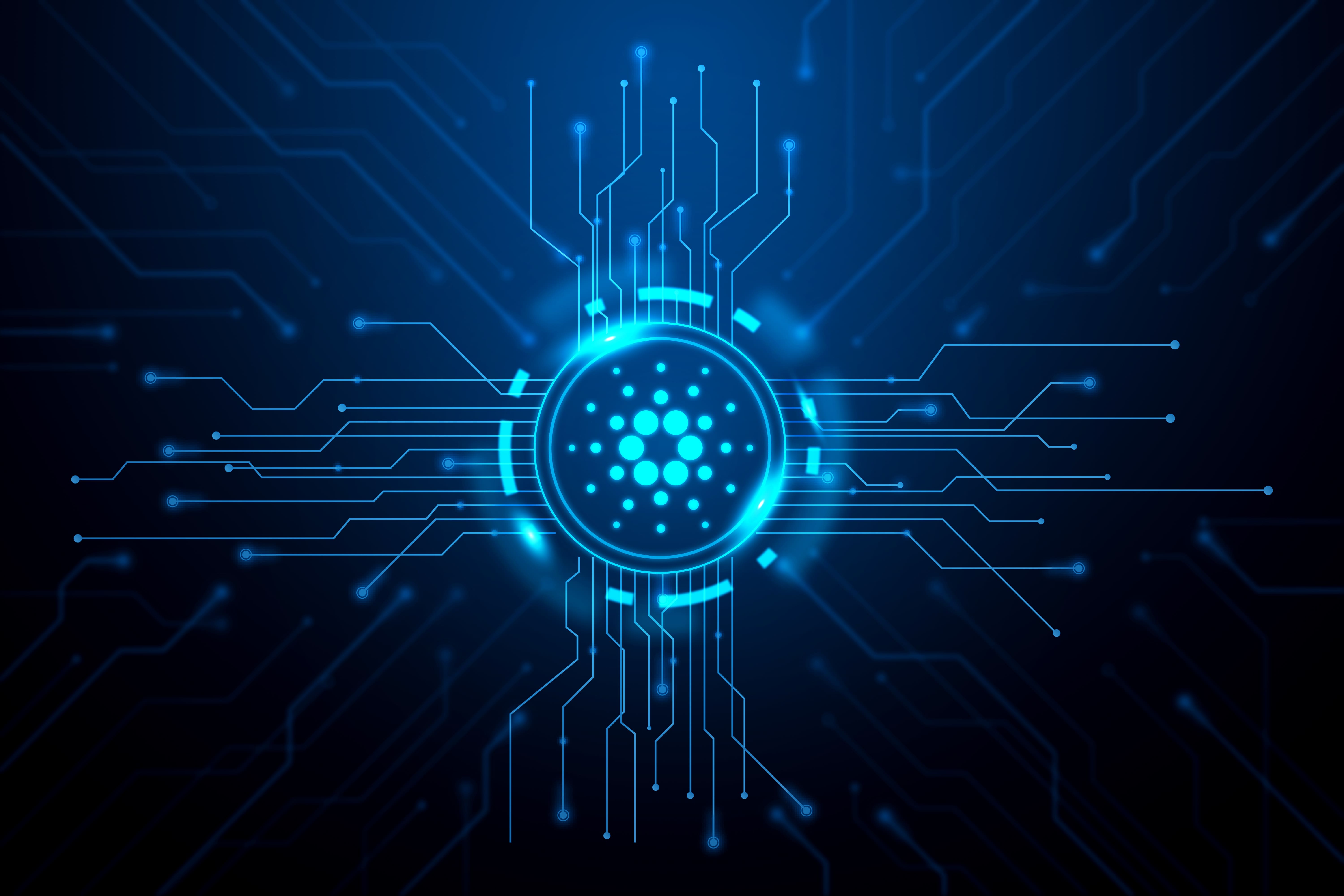 Connecting ERP Systems with Government Portals in India – A Practical Guide for Exporters & Importers
	