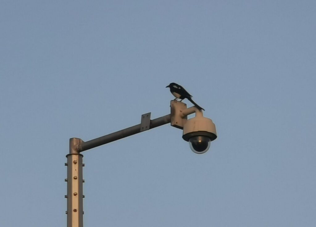 Top Selling CCTV Cameras in Dubai: Your Guide to Smart Security Solutions