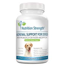 Cushing’s Supplements for Dogs: Natural Support for a Complex Condition