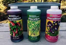 General Hydroponics Nutrients and Feeding: A Guide for Optimal Plant Growth