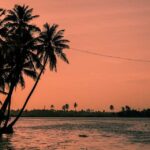 Kerala Ernakulam Trip: Best Time to Visit for a Beach Holiday