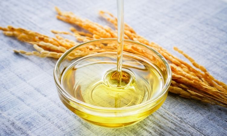 Rice Bran Oil: The Golden Elixir of Health and Flavor