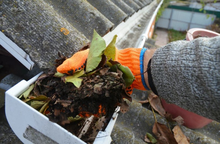 Avoid Roof Gutter Cleaning in South Yarra, VIC, and Face the Consequences: Maintenance of your Home from Every Angle