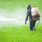 Transform Pest Management with FMC India Pvt Ltd Expertise