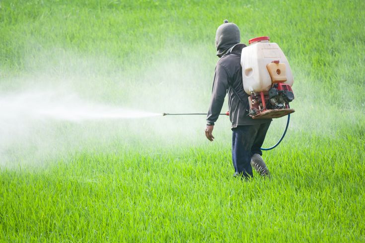 Transform Pest Management with FMC India Pvt Ltd Expertise