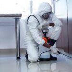 Keeping Homes Safe From Stinging Insects And Persistent Ants