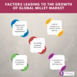 Crafting the Next-Generation Drinks