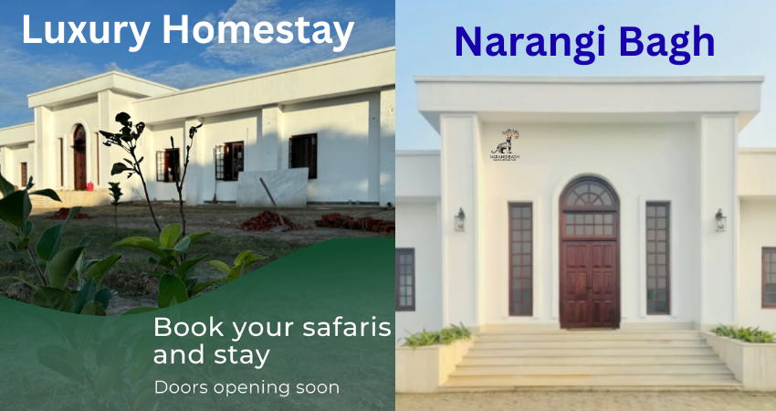 Top Reasons to Choose Narangi Bagh – A Luxury Hotel near Dudhwa National Park