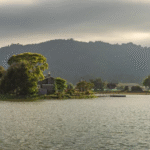 The Value of Problem-Solving in Education: Lessons from the Wild Goose Escape