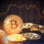 Top Crypto Exchanges and Wallets for Beginners in 2025