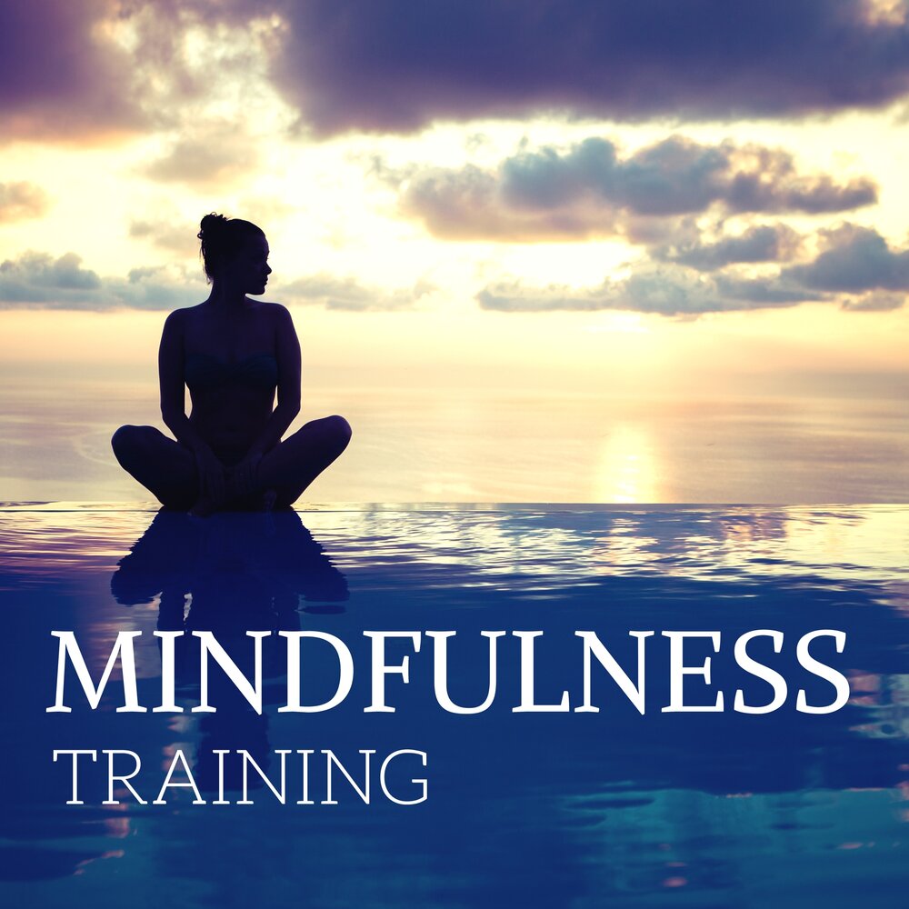 From Stress to Stillness: The Science Behind Mindfulness Training