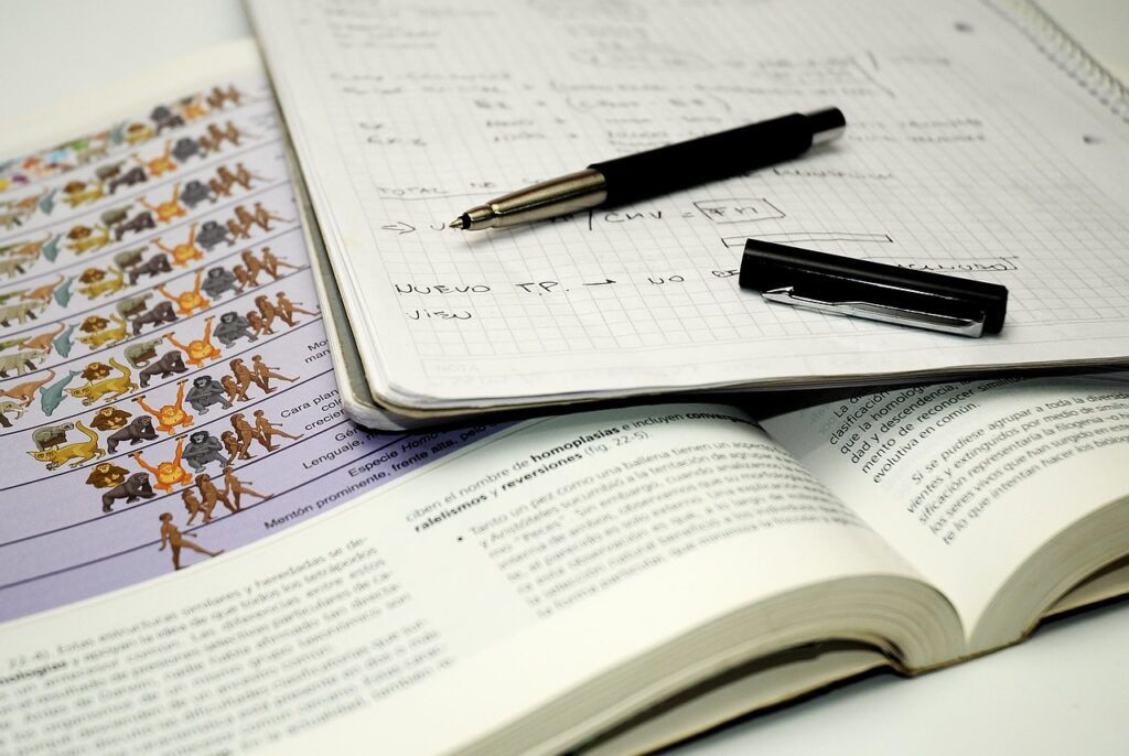 The Role of Previous Year Papers in Board Exam Preparation