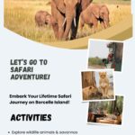 Best Time to Visit Tanzania for Safari Adventures