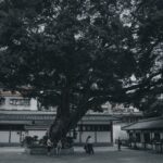 Memorable Journey with Guwahati Tour Packages 3N/4D