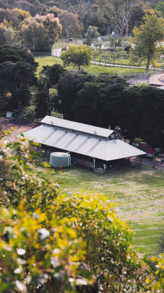 Guwahati Shillong Tour Packages – 3 Nights 4 Days Adventure