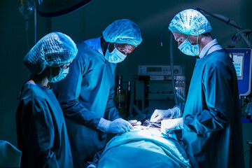 Emergency Medicine Billing Services