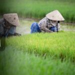 Assam Famous Places That Reflect Its True Culture and Beauty