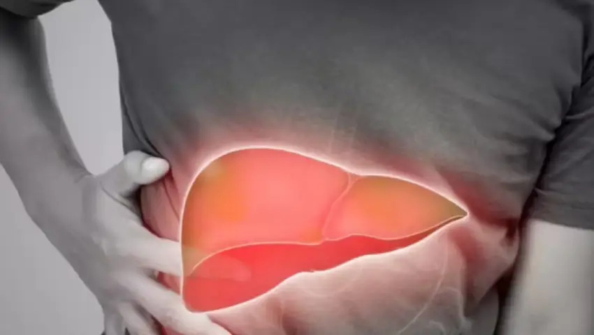 Fatty Liver: Difference Between Grade 1 and Grade 2 Explained