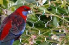Top Anti Bird Net Manufacturers in India | Durable & Affordable Bird Protection Nets | Arthi Enterprises