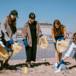 How Environmental Toxins Regulation Influences Product Design