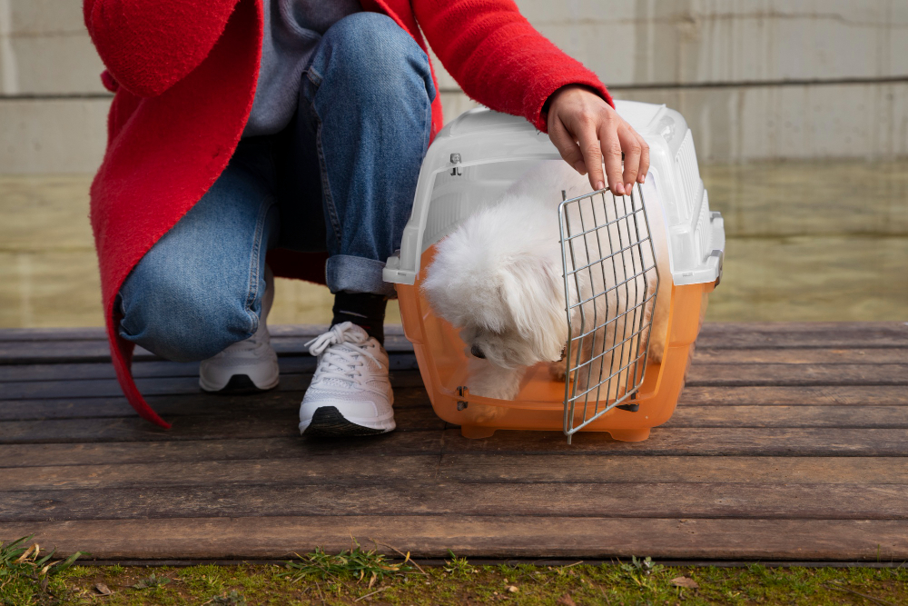 Keeping Dogs Fit & Safe: Using a Flirt Pole and Collapsible Crate Together
