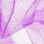 Best Nylon Net Manufacturers | Durable & High-Quality Nylon Safety Nets