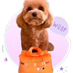 Paw-sh Bags Dubai By Paw Maison