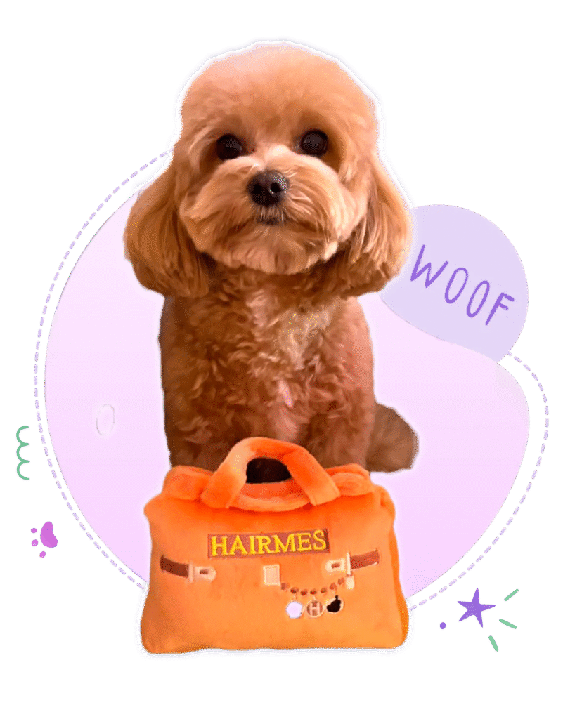 Paw-sh Bags Dubai By Paw Maison