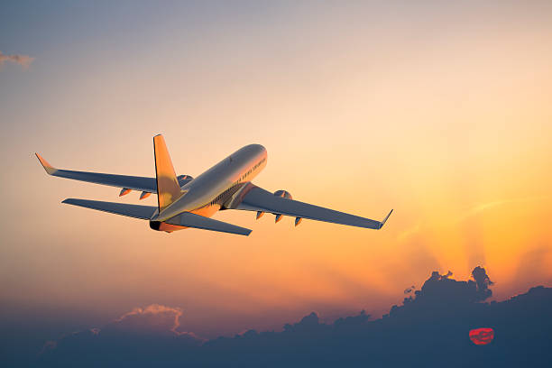 How Flighta Is Revolutionizing the Way Travelers Plan Their Journeys