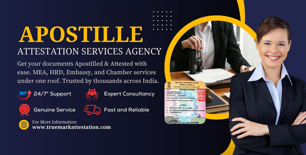 APOSTILLE CERTIFICATE INDIA – HOW TO VERIFY YOUR DOCUMENT ONLINE