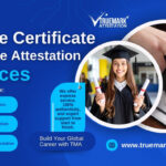 Importance of Apostille for Degree Certificates for Studying or Working Abroad