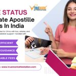 Single Status Certificate Apostille – Complete Guide for Global Use
