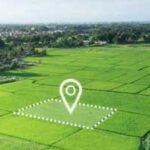 Top Ranking Strategies for Real Estate Professionals