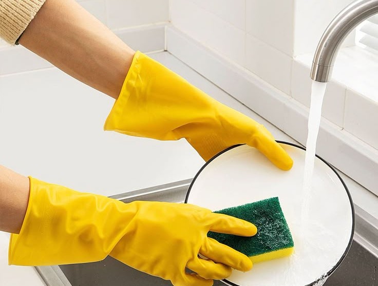 Household Gloves for Home Hygiene: Gee Enterprises