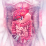 Best Stomach Doctor in Ahmedabad – Complete GI & Esophagus Care Guide