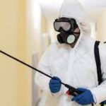 Trusted Whitby Pest Control for Safe Home Protection