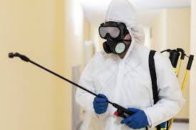 Trusted Whitby Pest Control for Safe Home Protection