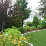 Where Beauty Begins: Superior Lawn Maintenance for South Shore Properties
