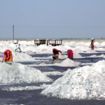 Gandhidham & Kutch: Twin Powerhouses Driving India’s Salt Export Industry