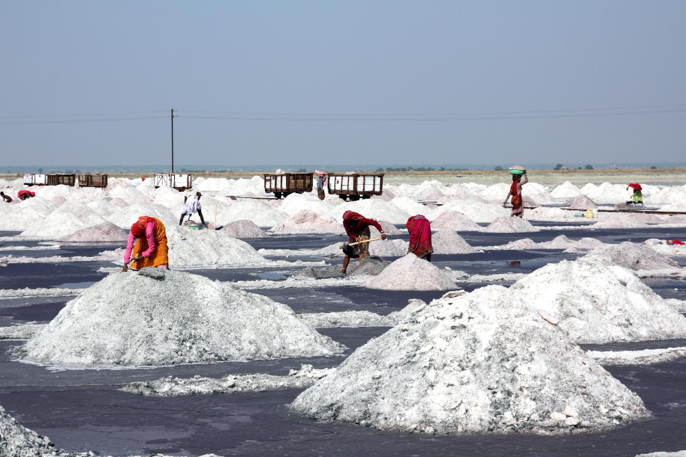 Gandhidham & Kutch: Twin Powerhouses Driving India’s Salt Export Industry