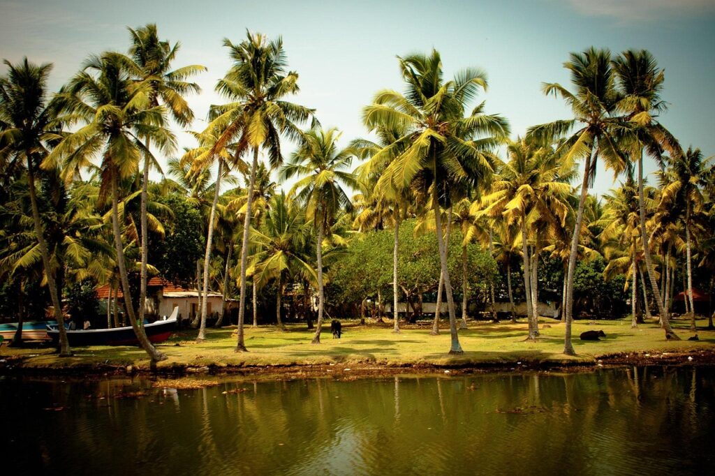 Learn the Importance of Kerala Tour Package