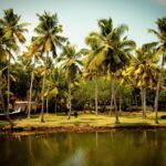 Learn the Importance of Kerala Tour Package